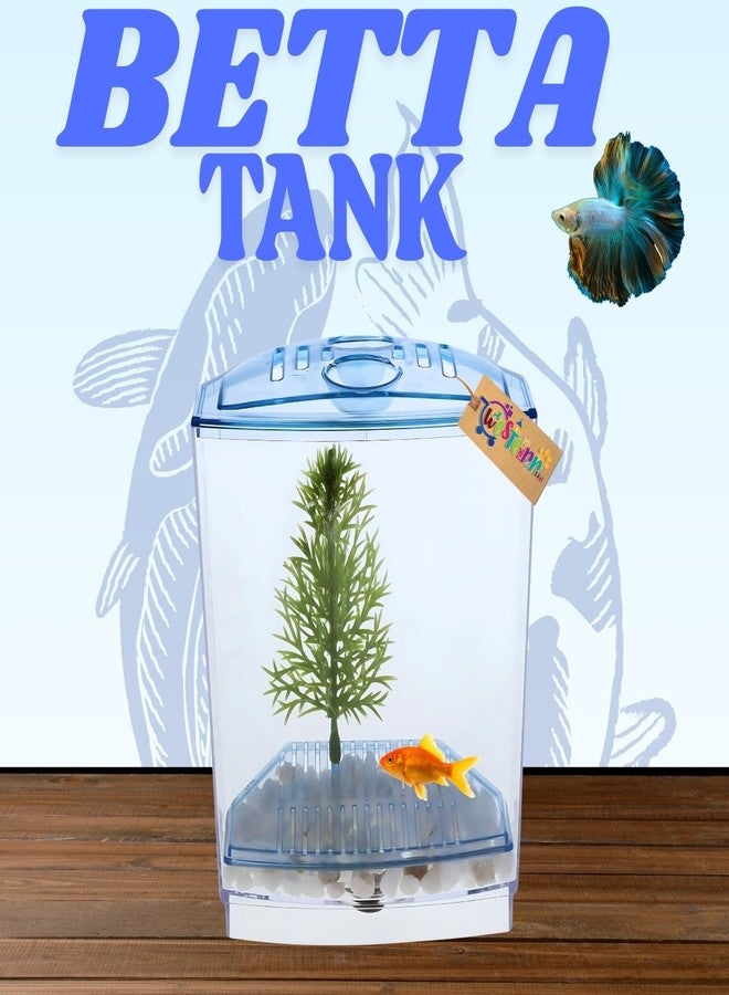 Western Era Betta Tank - Minimalist Aquatic Home for Betta Companions, Perfect for Peaceful Observation, Easy Upkeep, & Serene Interior Styling with a Compact Safe Living Space for Small Aquarium Fish - Image 2